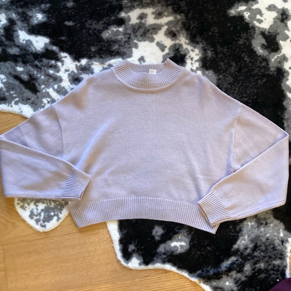 Divided Purple Sweater